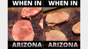 기록적 폭염에… 고기 철판에 올리자 ‘지글지글’