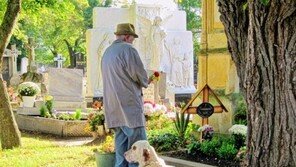 충견은 없다?..애도하는 개의 진실