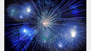 '개들의 독립을 막아라!'