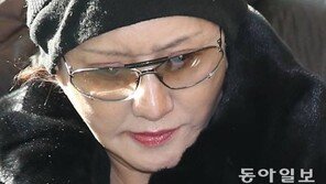 ‘무기 로비스트’ 린다 김, 기소의견으로 檢 송치…‘5000만 원 때문에’