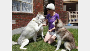 '반려견 털 가져오세요..옷 만들어 드립니다'