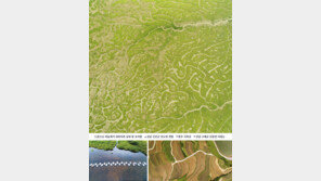 [Feeling]우리 땅 우리 물, 생명의 위대함을 목격하다