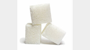 설탕은 줄이고 단맛은 지키고, 자일로스 등 대체 감미료 인기