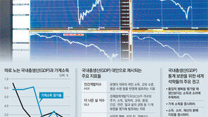 [토요경제]“新경제 못 담는 구닥다리” 경제지표 왕좌 GDP의 위기 