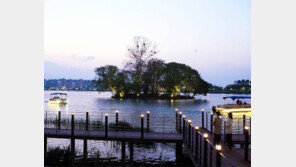 “로맨틱한 대구”… 수성못 밤풍경 달라졌다