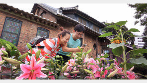 대구 근대골목투어 백합 눈길