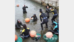해녀체험 열기 후끈 