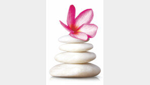 [DBR]2인자는 1인자의 ‘충성스러운 반대당’이 돼라 