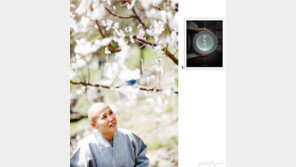 우관 스님의 사찰 음식~ 깨달음의 한 맛