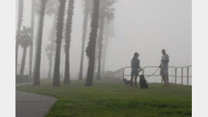 '연애고자, 개를 키워야 하는 이유 7가지'