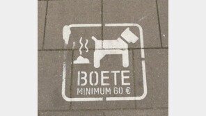 '개똥 안 치웠지? 벌금 내!' vs '못 내겠는데..'