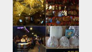 40년 애물단지 폐광의 ‘황금빛 변신’