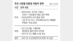 “친환경車, 국내 대응 너무 느려”