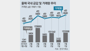 금값된 金… 엇갈린 상승론-조정론