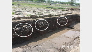 [단독]‘간두령’ 나온 부여 토광묘 90% 파괴