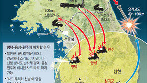 [단독]칠곡 사드, 北기습 대비 최적… 주한미군의 전략적 판단 반영 
