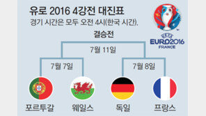 ‘축구 동화’ 해피엔딩… 박수 받은 아이슬란드