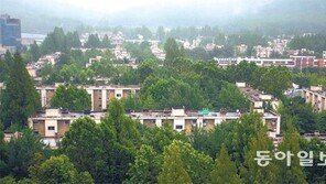 강남 재건축 매물 ‘홍수’… 과천도 ‘흐림’ 