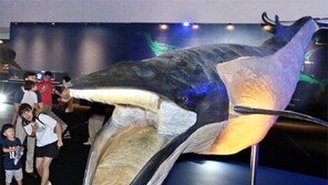 해양생물 150여종 한자리에