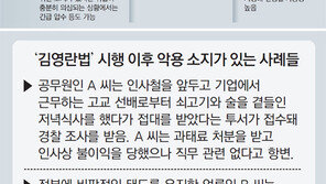 수사대상, 검경 마음먹기 달려… 민간인 사찰 날개다는 셈