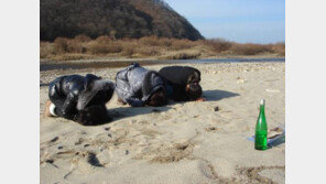 북한 황강댐 방류, 2009년의 악몽 떠올라…그때 무슨일이?