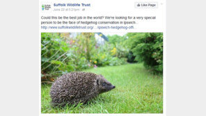 연봉 3600만 원 ‘고슴도치 관리인’ 모집 공고 떴다