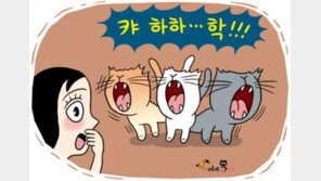 "갑자기 달려와 떼창을" 울산 지진을 겪은 강쥐냥이들