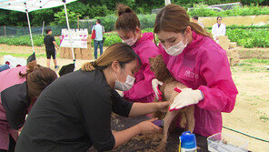 [오늘의 채널A] 유기견 보호소로 간 I.O.I