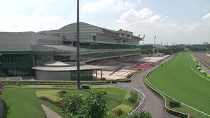 한류원정마 “싱가포르 오픈 우승해주마”