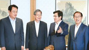 정진석 “총리가 안보인다는 말 나와서야”