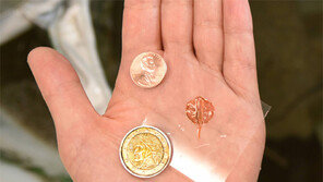 초소형 ‘가오리 로봇’, 웨이브 타며 물속 유유히