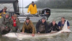 일가족이 잡은 100살 된 철갑상어