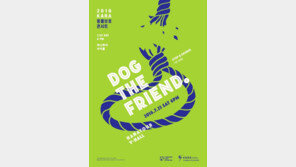 카라, '개 식용 근절 동물보호 콘서트' 개최