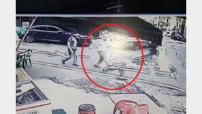 [영상]임신한 고양이를 발로 ‘뻥’…“인간이 할 수 있는 행동 아냐” 공분