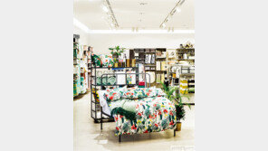 ‘집방’ 쇼핑~ 새롭게 오픈한 감각 만점 숍 가이드