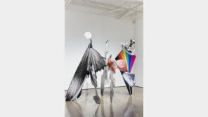 3차원 공간에 옮긴 사물의 평면 이미지