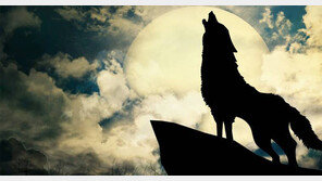 [정양환 기자의 억지로 쓰는 문화수다]음흉한 늑대가 ‘父子有親’ 표상이라니…