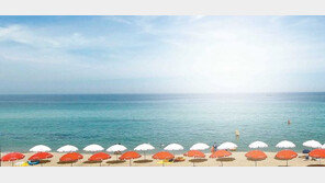 [Health&Beauty]보름 후면 ‘칠말팔초’ 휴가…“올핸 꼭 비키니 입을 거야”