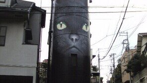 건축물이 된 고양이들