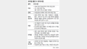 리우올림픽 관광객 90일 무비자 체류 입국시 1만헤알 이상 현금 신고를