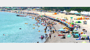 관광에서 산림욕, 해수욕까지… 경주에선 다 된다