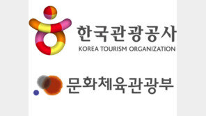 상반기 방한 관광객 810만명 21% 증가