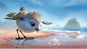 도리를 찾아서 갔다가 도요새에 반했네