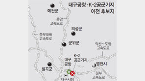 ‘대구 新공항’ 1, 2개월내 부지 선정… 영천 군위 의성 칠곡 예천 등 거론 