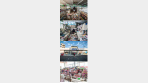 후쿠시마에 몰래 들어가 촬영한 사진들