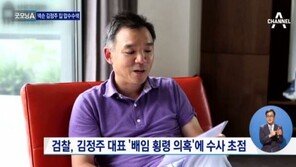 [속보] ‘진경준 주식대박 의혹’ 김정주 넥슨 회장, 오늘 檢 소환