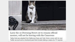 '브렉시트 주역' 캐머런 영국 총리, 고양이 버린다