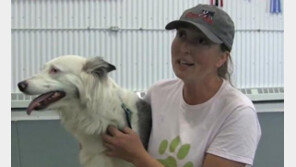 청각장애견의 7년에 걸친 도전..어질리티 챔피언 되다