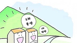 시리즈 아파트 올해 2만7000가구 쏟아진다 