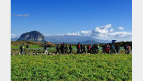 올 여름 가장 인기 있는 휴양지 3위는 오사카 …1위는?